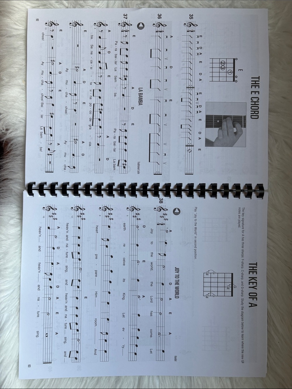Hal Leonard Complete Guitar Method Volumes 1,2,3 with Audio Access. 12New Picks - Picture 10 of 11